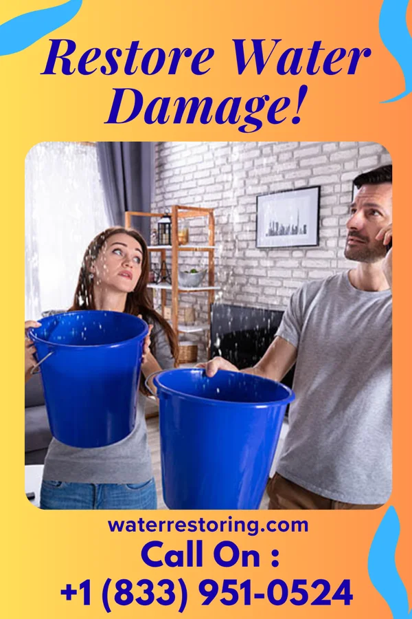 water restoration Expert Disaster Recovery Partners Elmer