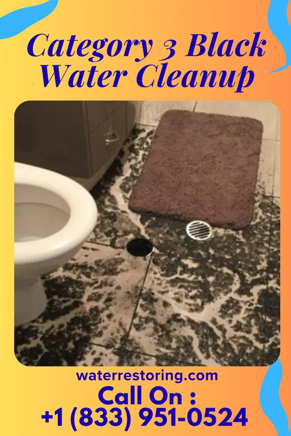 Category 3 Black Water Cleanup in Elmer, OK