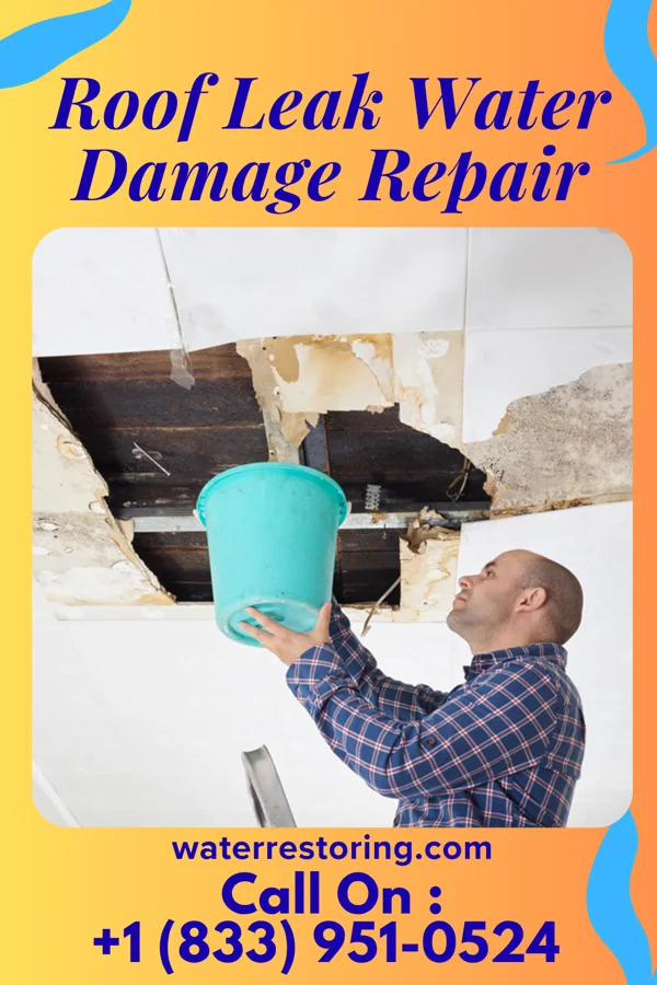 Roof Leak Water Damage Repair in Elmer, OK